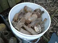 20130411_174825.webp 20130411_174825.webp