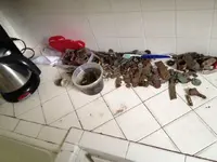 kitchen.webp