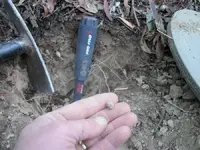 other .webp
