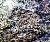 IMG_20130327_103542.webp