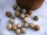 shipwreck pottery jar with musket balls 5 RESIZED.webp