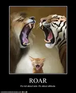 roar.webp