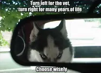 68524_475329155874465_1014933482_n.webp