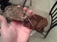 20130311_204728.webp
