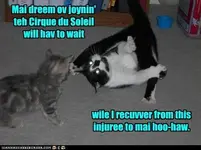 hCBBAA126.webp