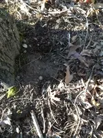 image-569858945.webp