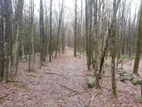 20130410_142344.webp