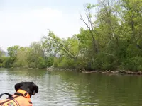 100_1444.webp
