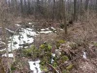 20130410_143659.webp