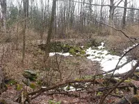 20130410_143725.webp