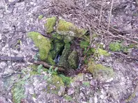 20130410_143755.webp