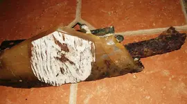 shipwreck musket remains 1b Bottom RESIZED.webp shipwreck musket remains 1b Bottom RESIZED.webp