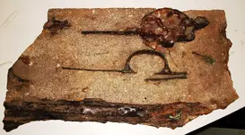 shipwreck musket remains 2 RESIZED.webp