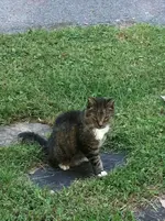 IMG_0603.webp IMG_0603.webp