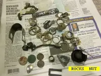 0331NUTROCKS.webp
