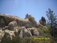 SDC14047.webp