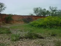DSC00824.webp