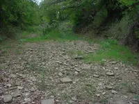 DSC00831.webp DSC00831.webp