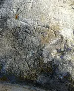 image-321437606.webp