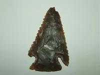 DSCF1636.webp
