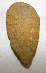 Image 5.webp