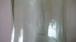 DSC03881.webp