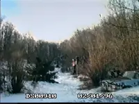 ds009010.webp