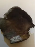 image-783311670.webp