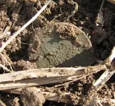 IMG_011601.webp IMG_011601.webp