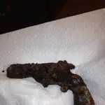 gun.webp