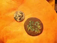 coins funde 1007.webp coins funde 1007.webp