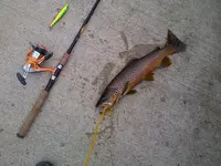 IMG-20121019-00416.webp