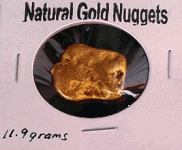 beatle_nugget.gif