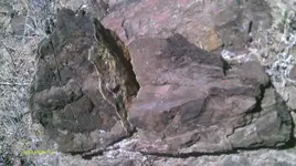 IMAG1166.webp