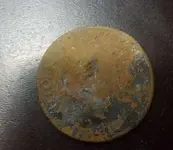 coin.webp
