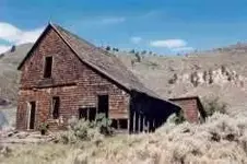nighthawk-abandonedhouse.webp