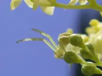 CIMG3997.webp