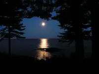 Moon.webp