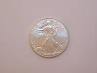 s.eagle001.webp