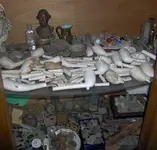 HPIM0819 (Large).webp