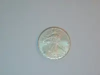 s.eagle002.webp