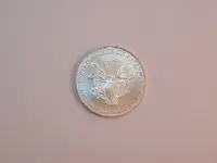 s.eagle003.webp