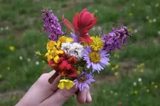bouquet1.webp