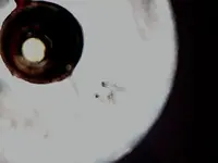 DSCF0002.webp