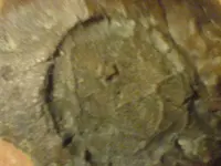 DSC00115.webp