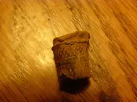 P6260276.webp