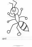 ant.webp