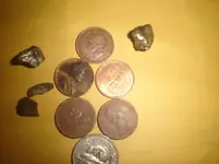 penny 005-resized.webp