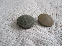 IMG_2253[1].webp