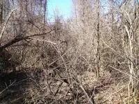 DSC02268.webp